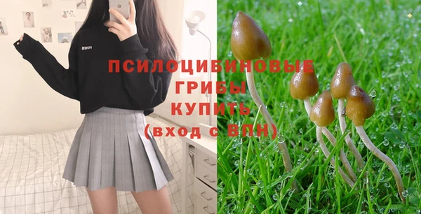 кокс Алзамай
