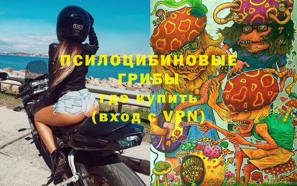 кокс Алзамай